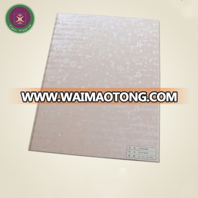 WPC wall panel / board bamboo wood fiber wallboard